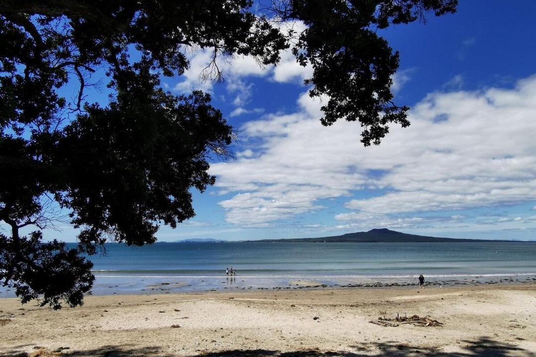 Photo of Others in Browns Bay