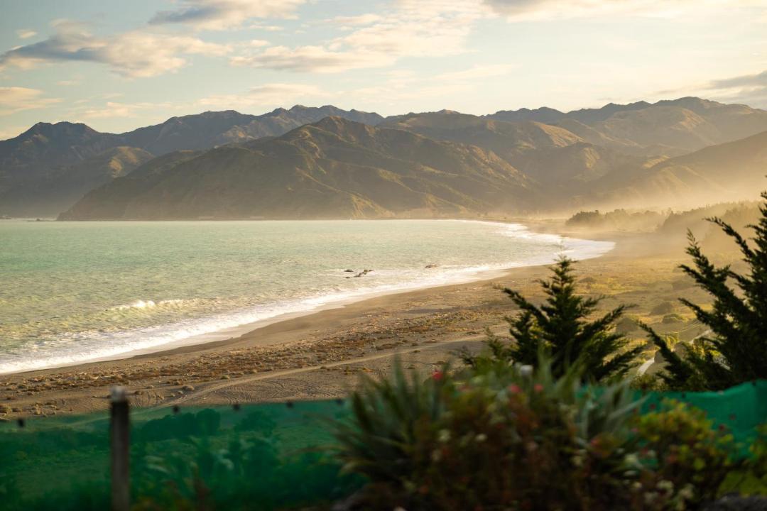 Photo of Others in Kaikoura