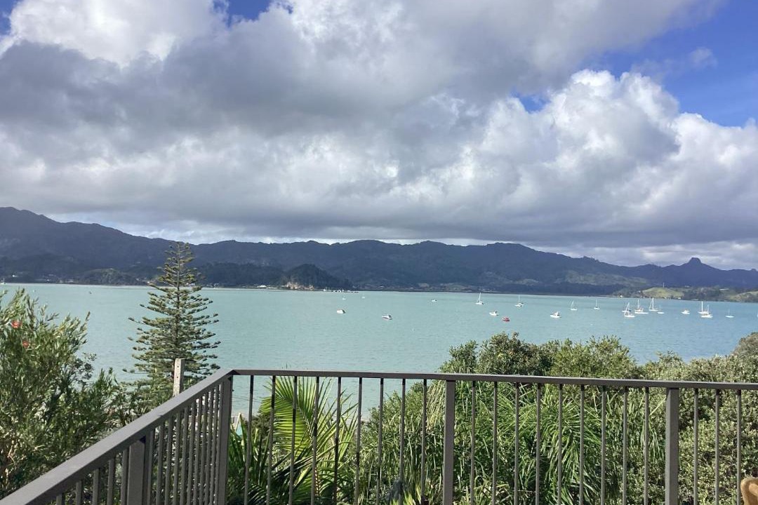 Photo of Others in Coromandel