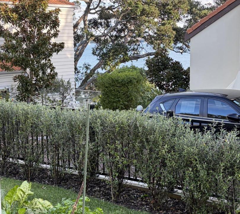 Photo of Others in Northcote