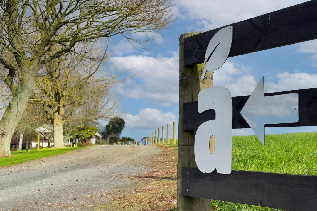 Photo of Others in Matamata
