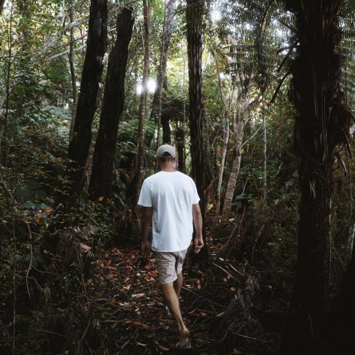 Photo of Others in Opua