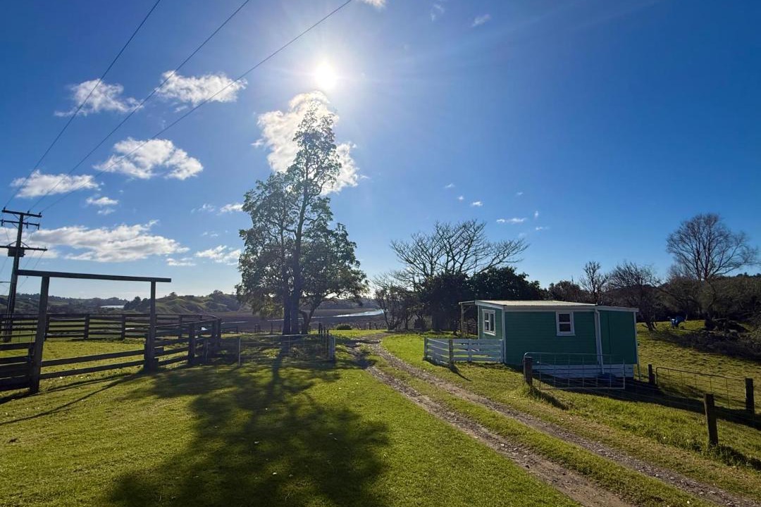 Photo of Others in Bay of Plenty Region