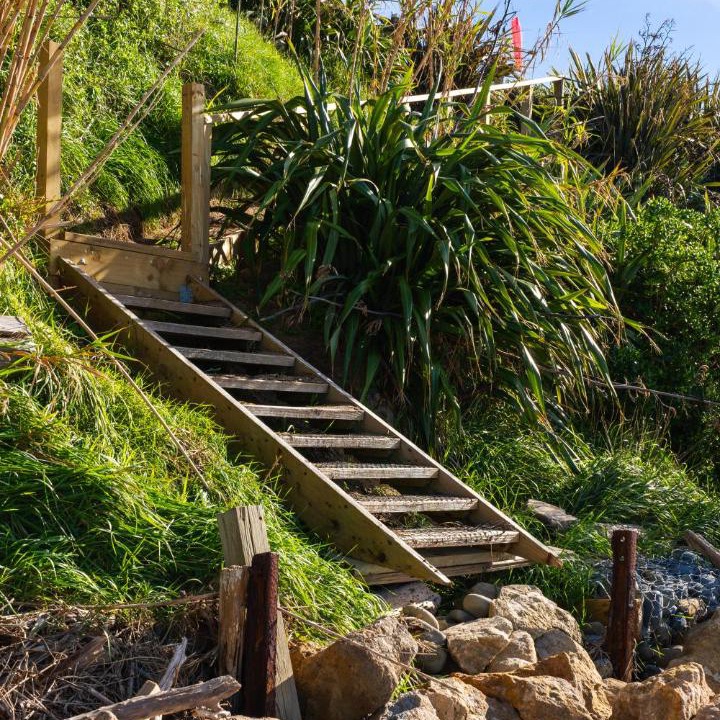 Photo of Others in Wainui