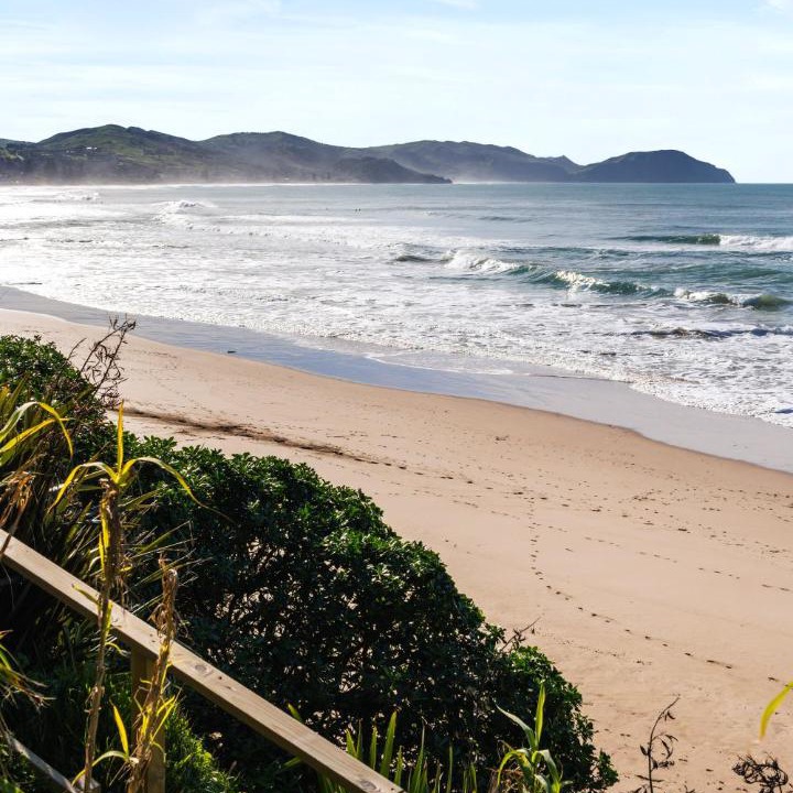 Photo of Others in Wainui