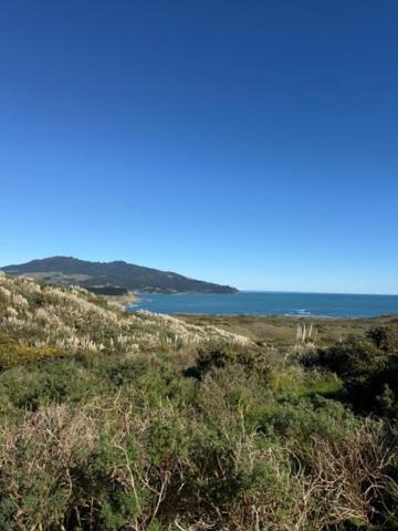 Photo of Others in Te Akau