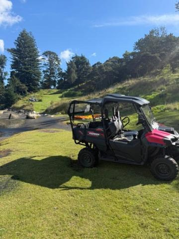 Photo of Others in Te Akau