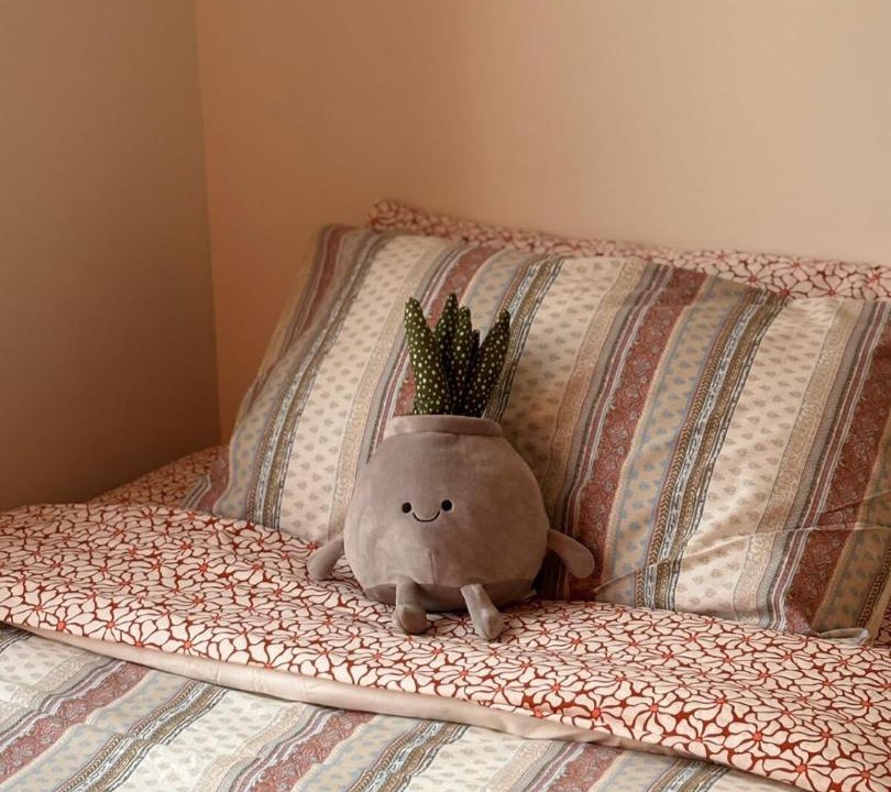 Photo of Bedroom in Rolleston