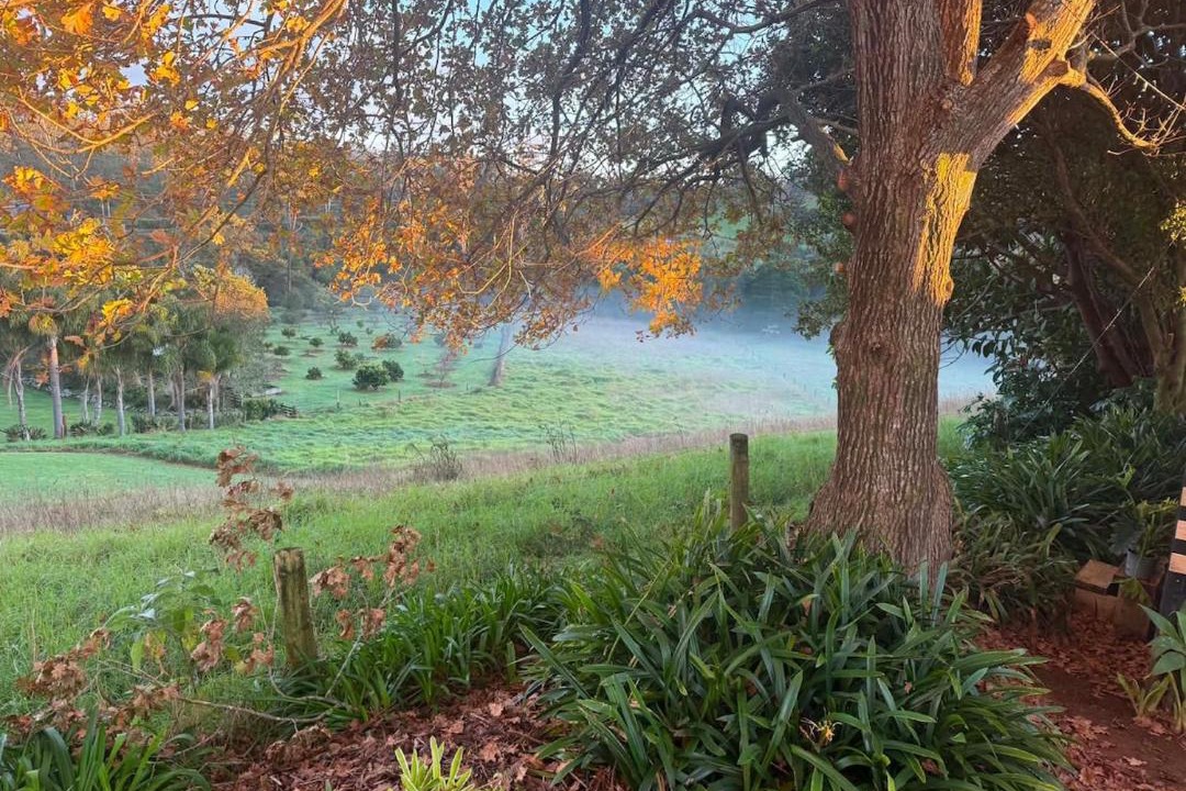 Photo of Others in Kerikeri
