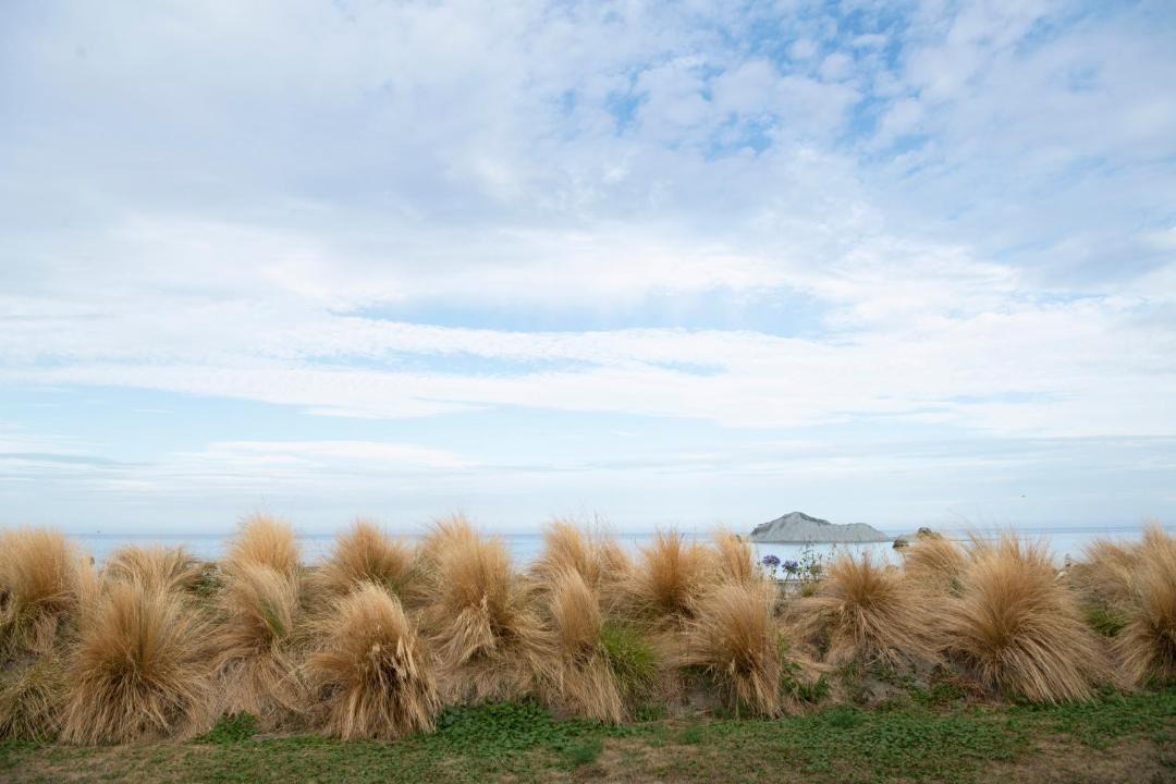 Photo of Others in Waimarama