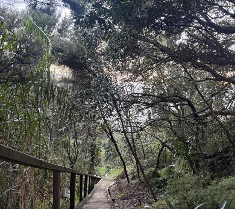 Photo of Others in Mangawhai Heads