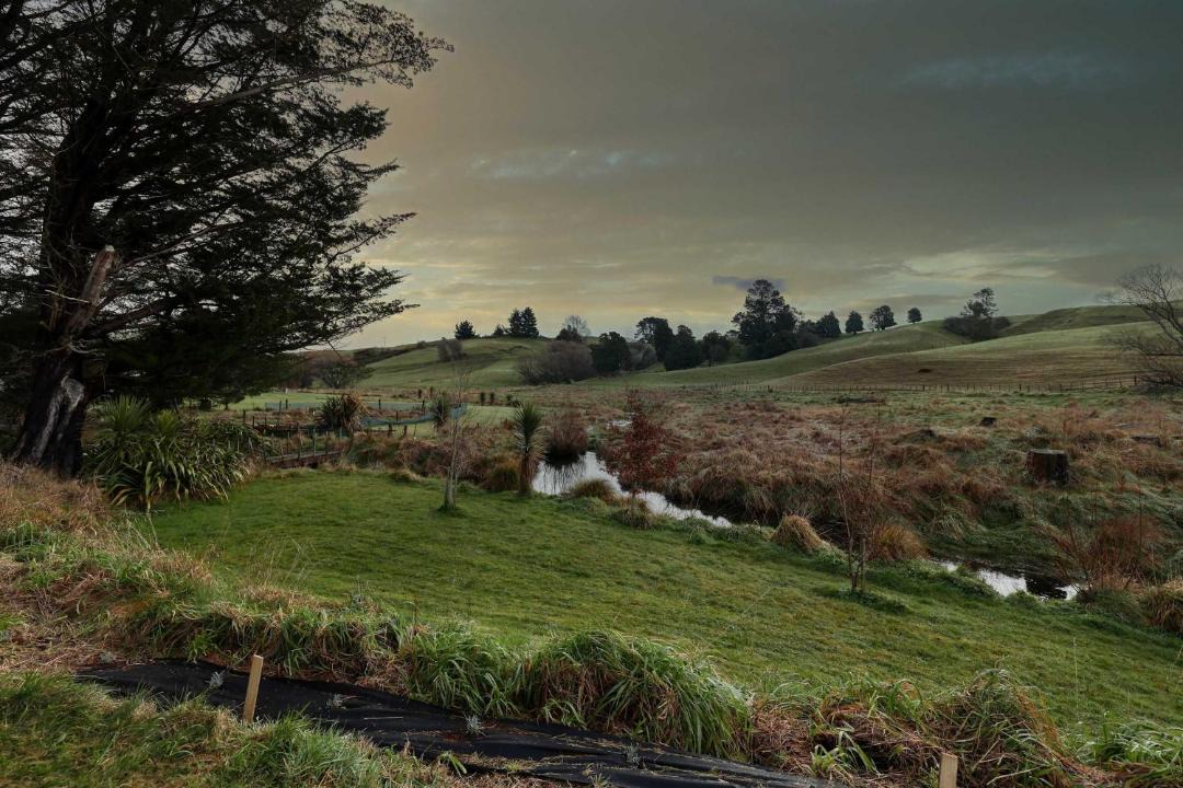 Photo of Others in Puketitiri
