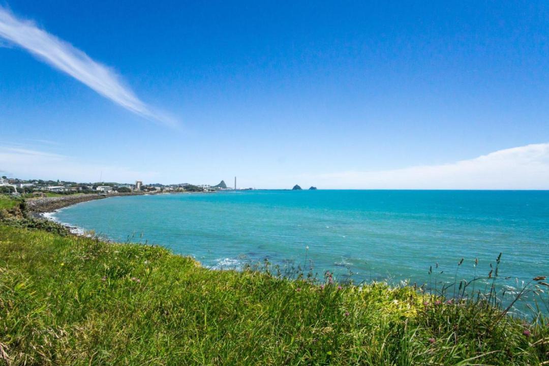 Photo of Others in New Plymouth