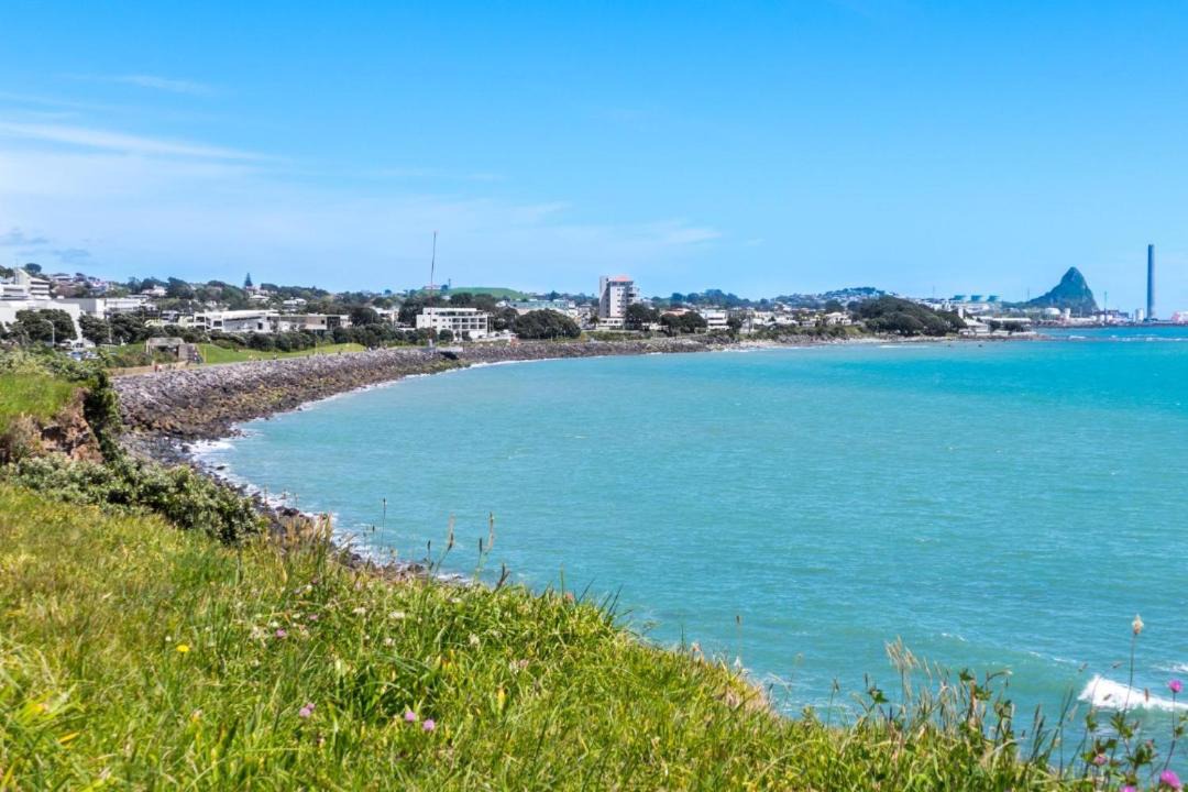 Photo of Others in New Plymouth