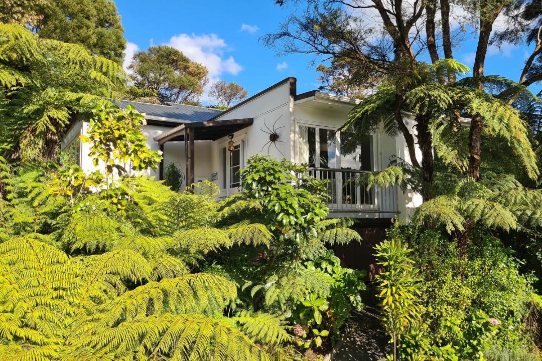 Photo of Others in Coromandel