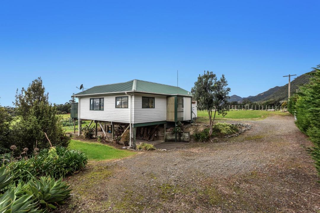 Photo of Others in Te Kaha