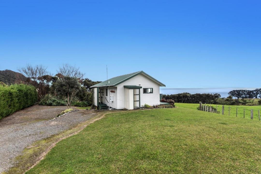 Photo of Others in Te Kaha