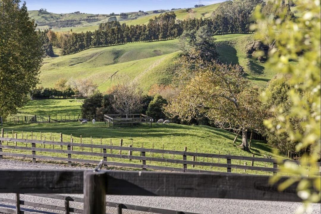 Photo of Others in Karapiro