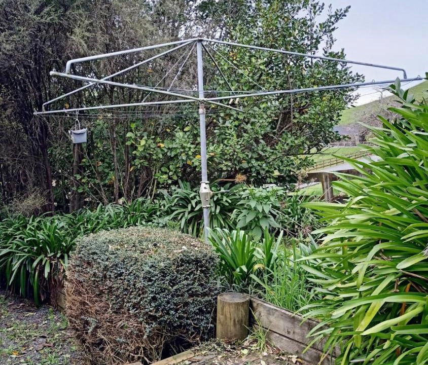 Photo of Others in Karapiro