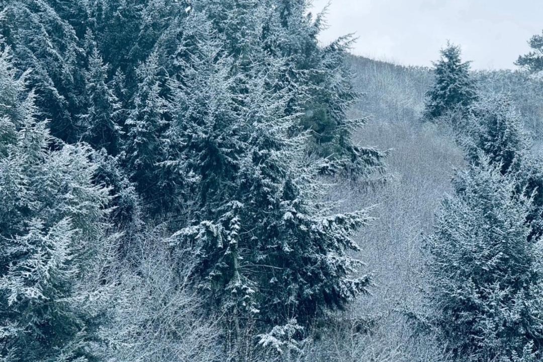 Photo of Others in Athol