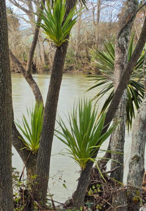 Photo of Others in Gladstone