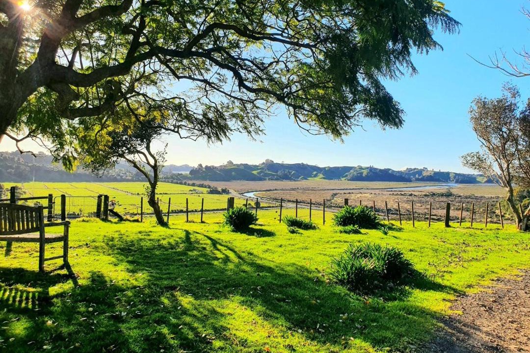 Photo of Others in Bay of Plenty Region