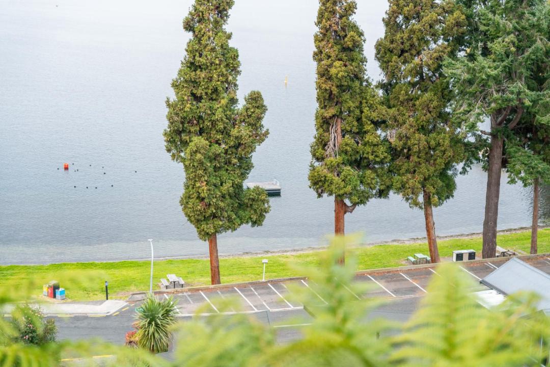 Photo of Others in Taupo