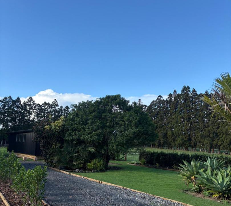Photo of Others in Waimate North
