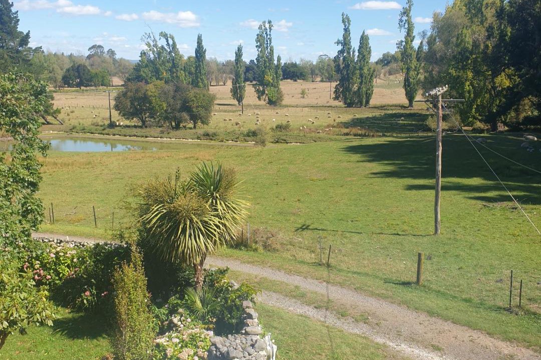 Photo of Others in Ongaonga