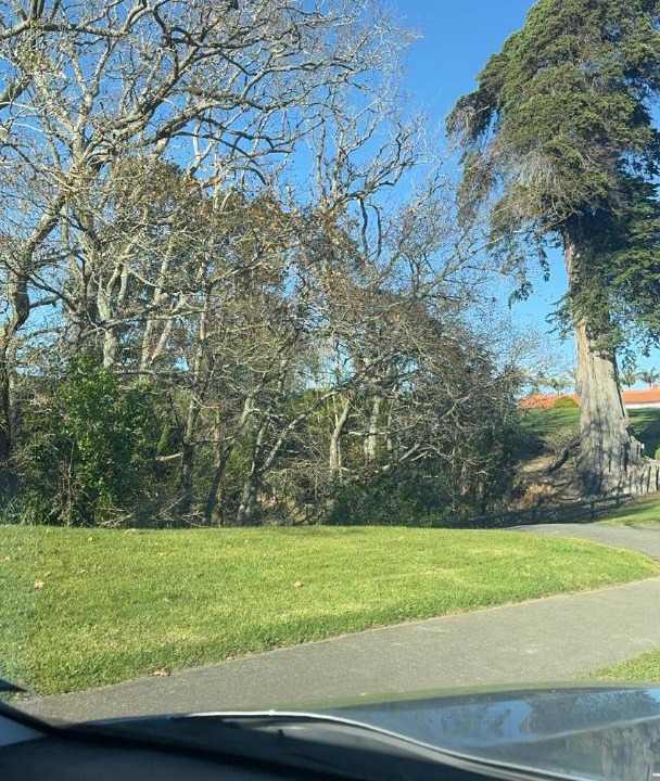 Photo of Others in Bucklands Beach
