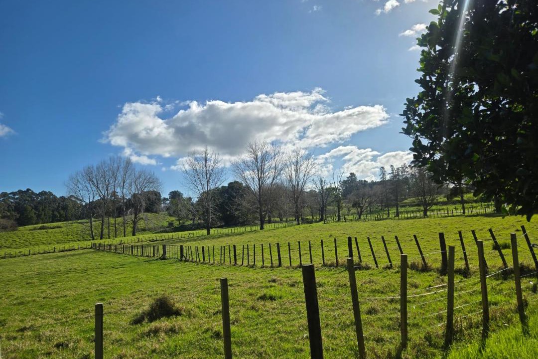 Photo of Others in Kumeu