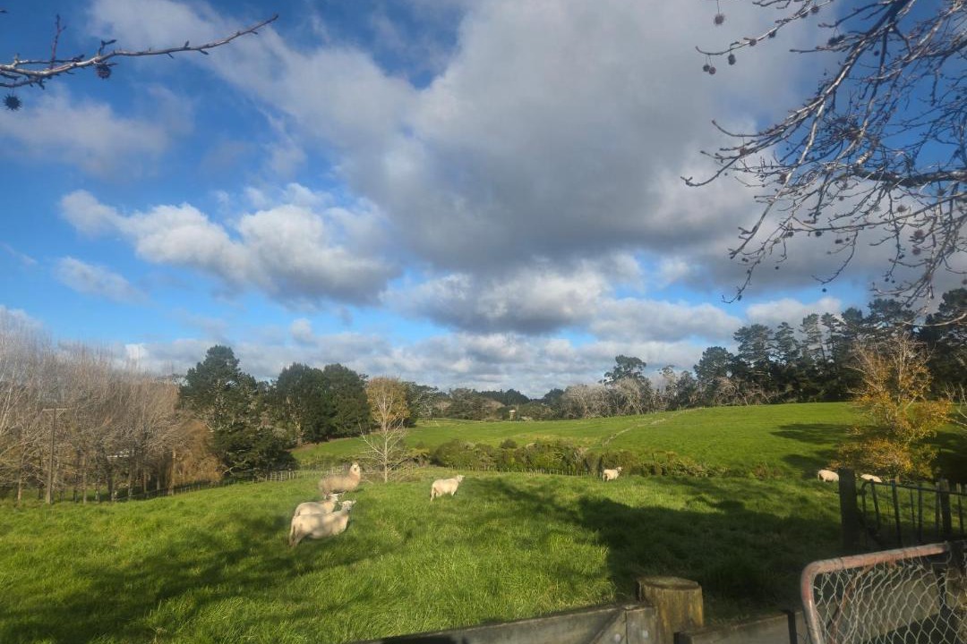 Photo of Others in Kumeu