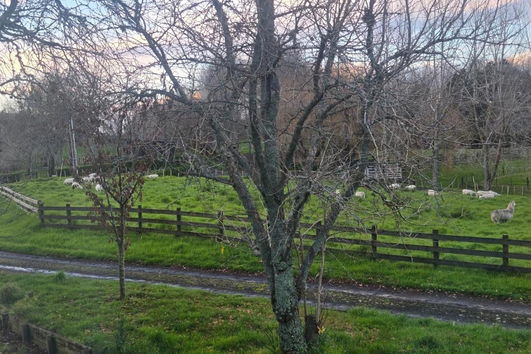 Photo of Others in Kumeu