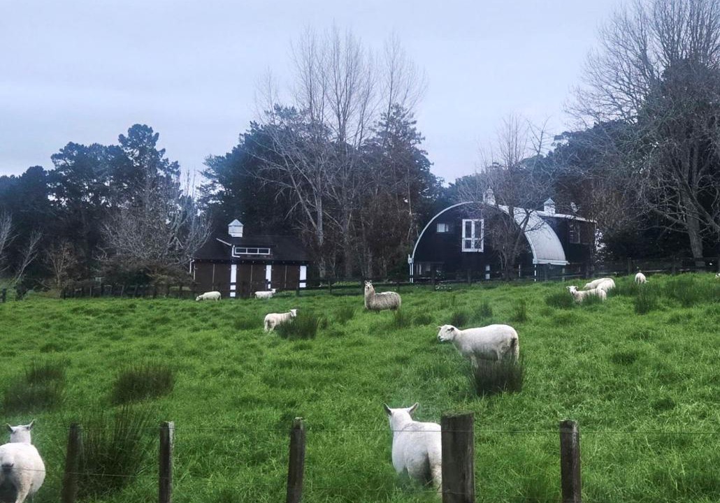 Photo of Others in Kumeu