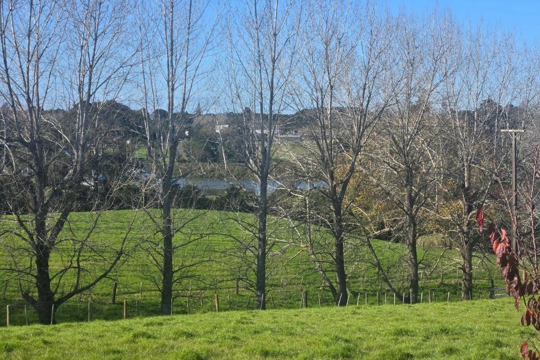 Photo of Others in Kumeu