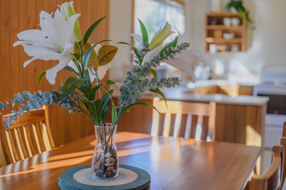 Photo of Kitchen in Burkes Pass