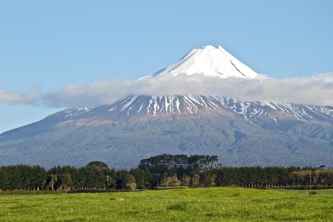 Photo of Others in Hawera