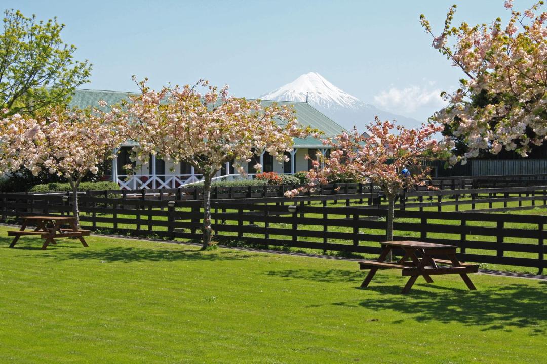 Photo of Others in Hawera