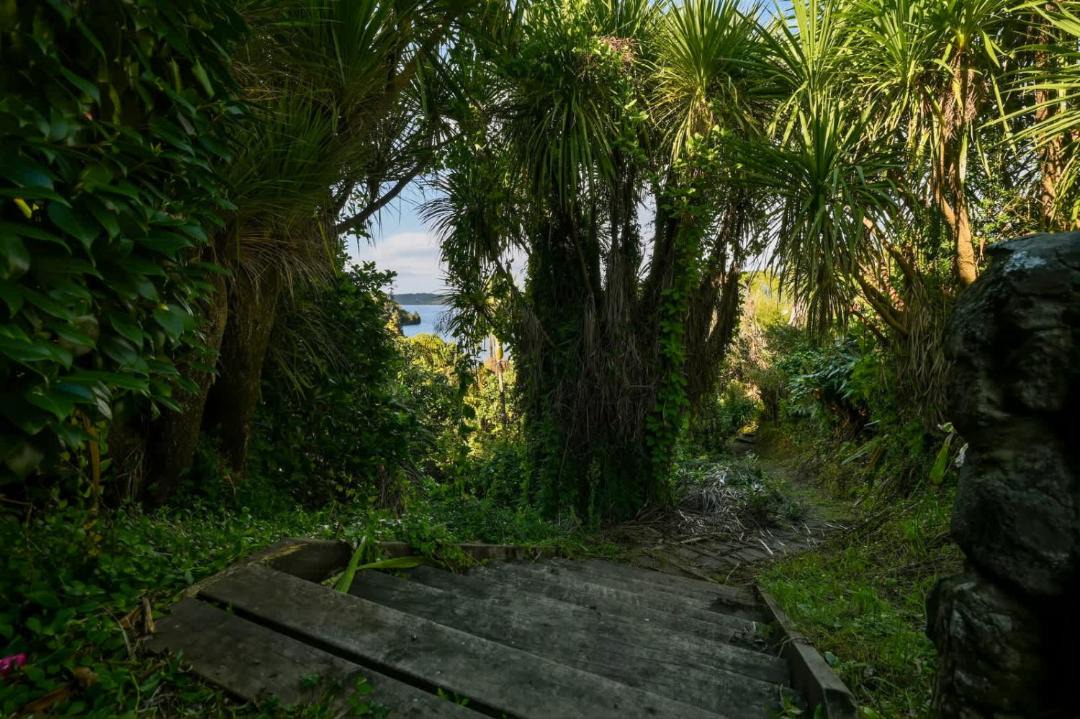 Photo of Others in Lake Tarawera