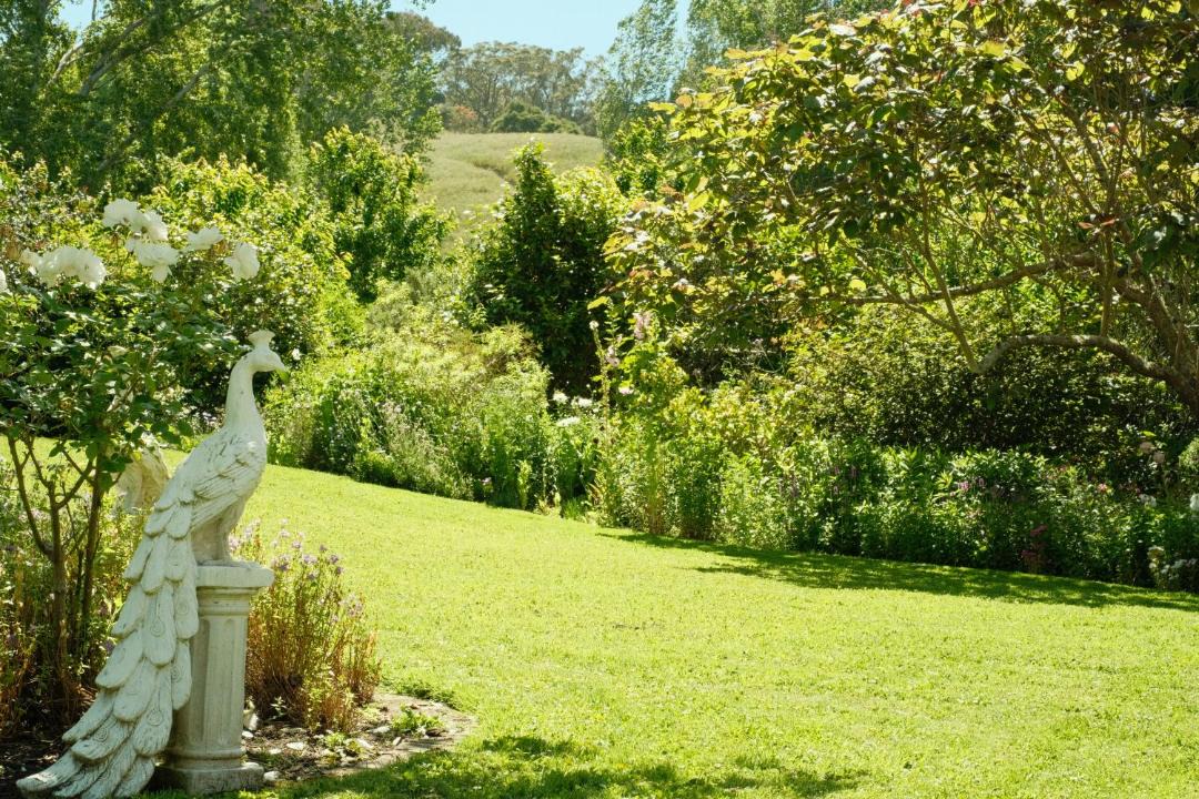 Photo of Others in Masterton District