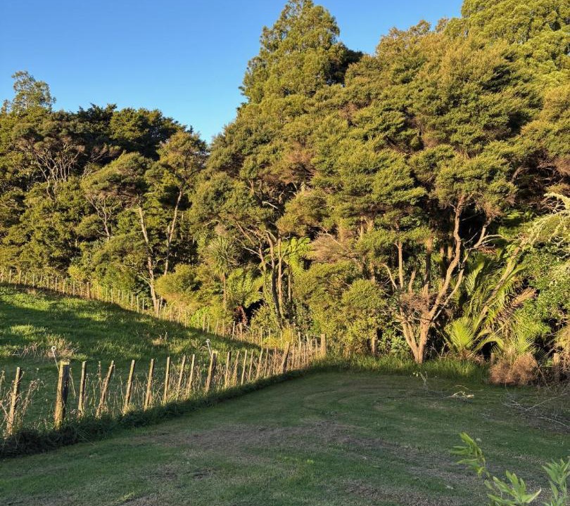 Photo of Others in Waimauku