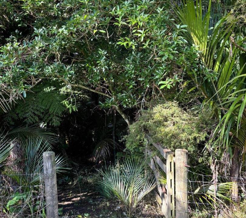 Photo of Others in Waimauku