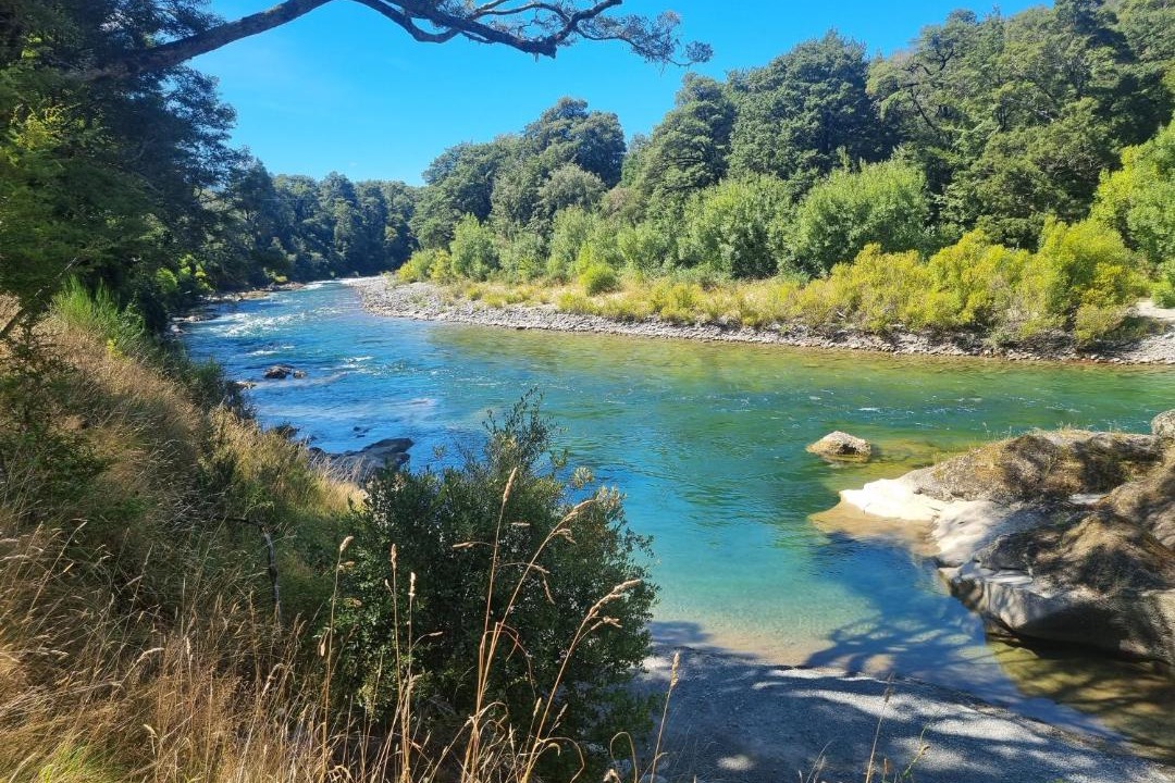 Photo of Others in Owen River