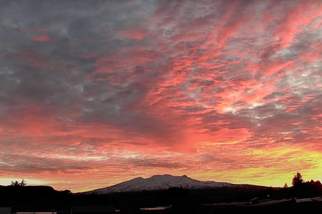 Photo of Others in Ohakune