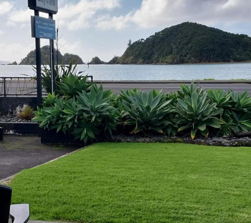 Photo of Others in Paihia