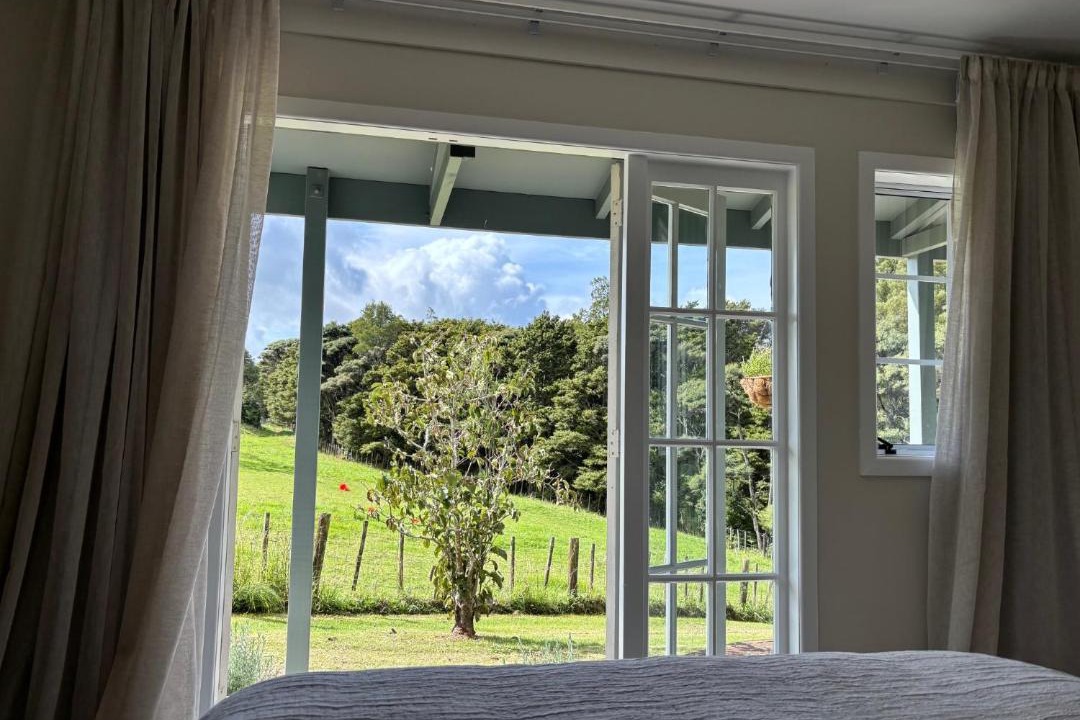 Photo of Others in Waimauku