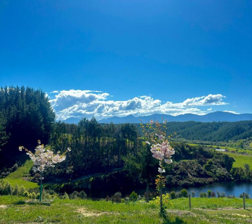 Photo of Others in Upper Moutere