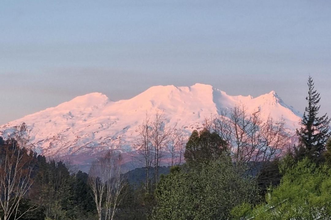 Photo of Others in Ohakune