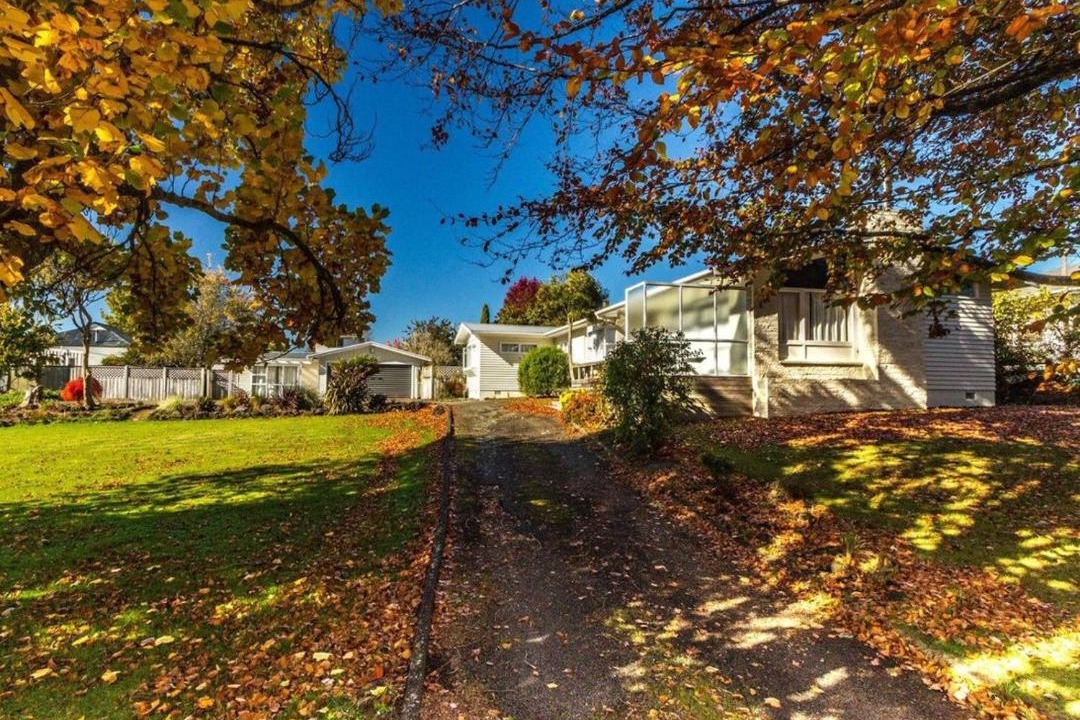 Photo of Others in Ohakune