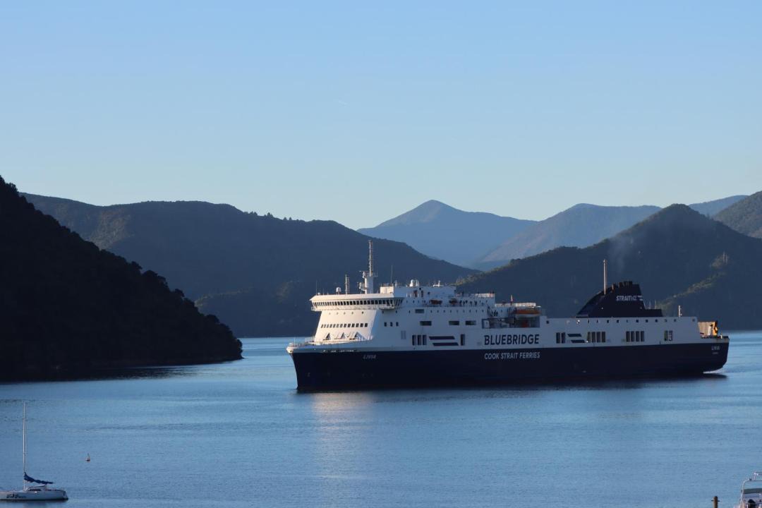 Photo of Others in Picton